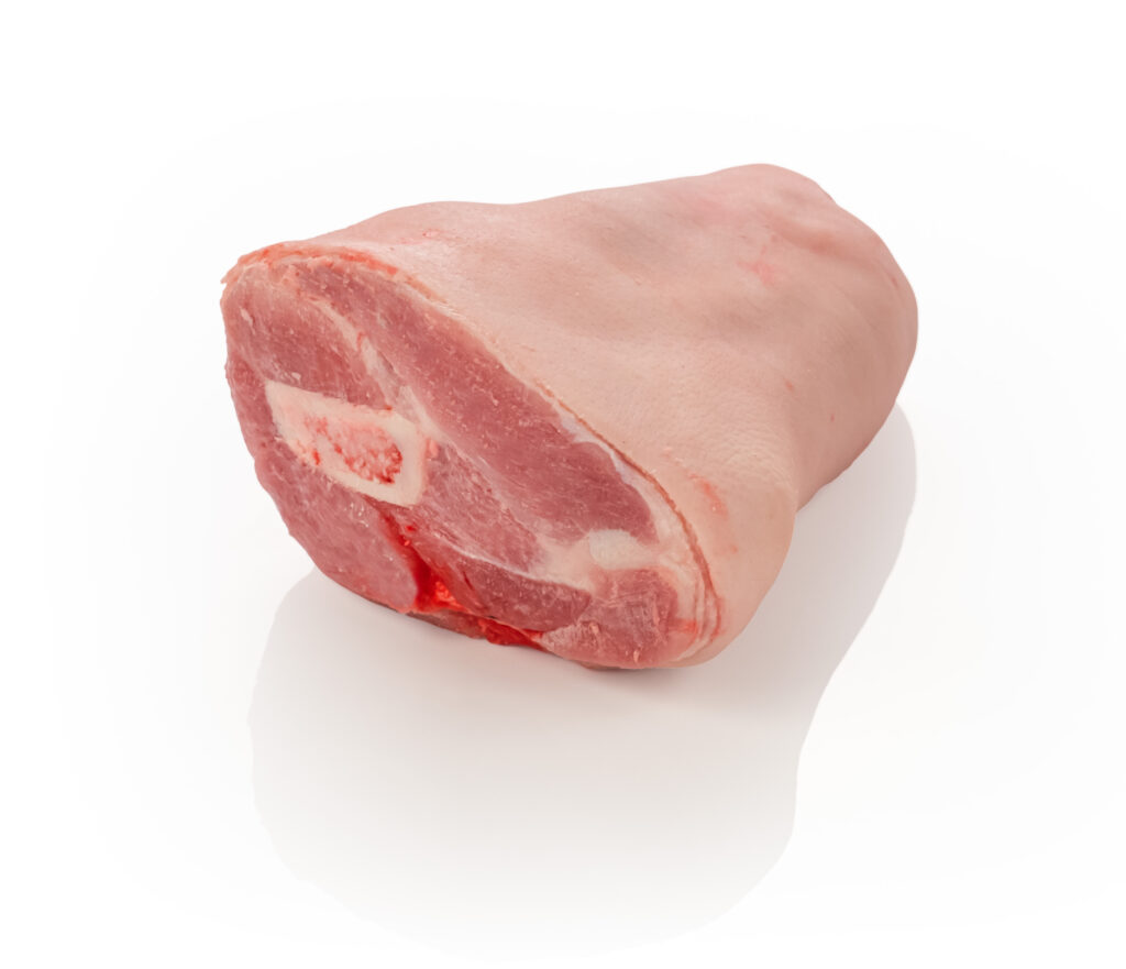 Codillo Paletilla 3.Jpg