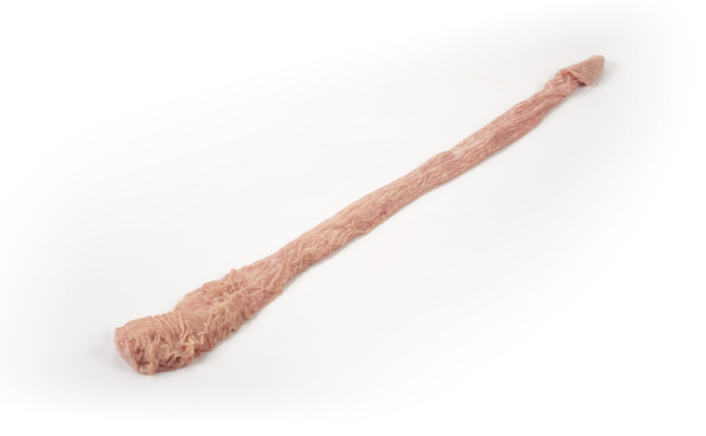 Culanas 1.Jpg