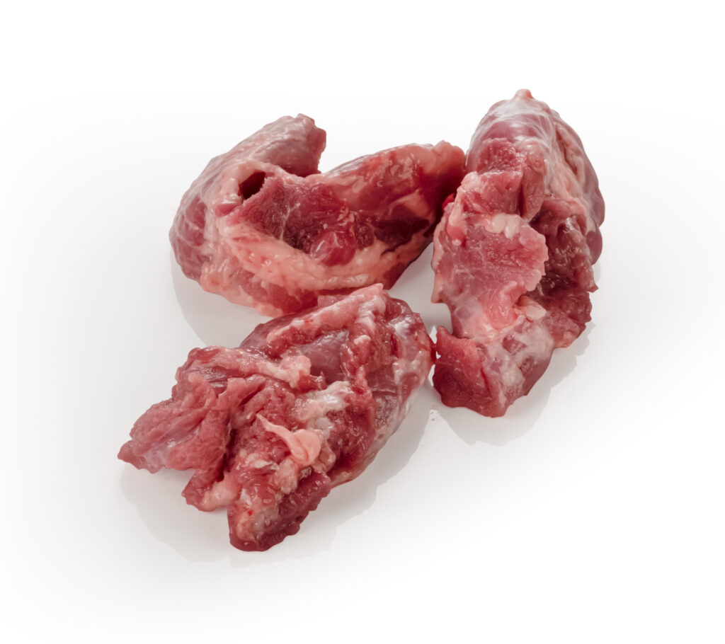 Magro Lengua.jpg