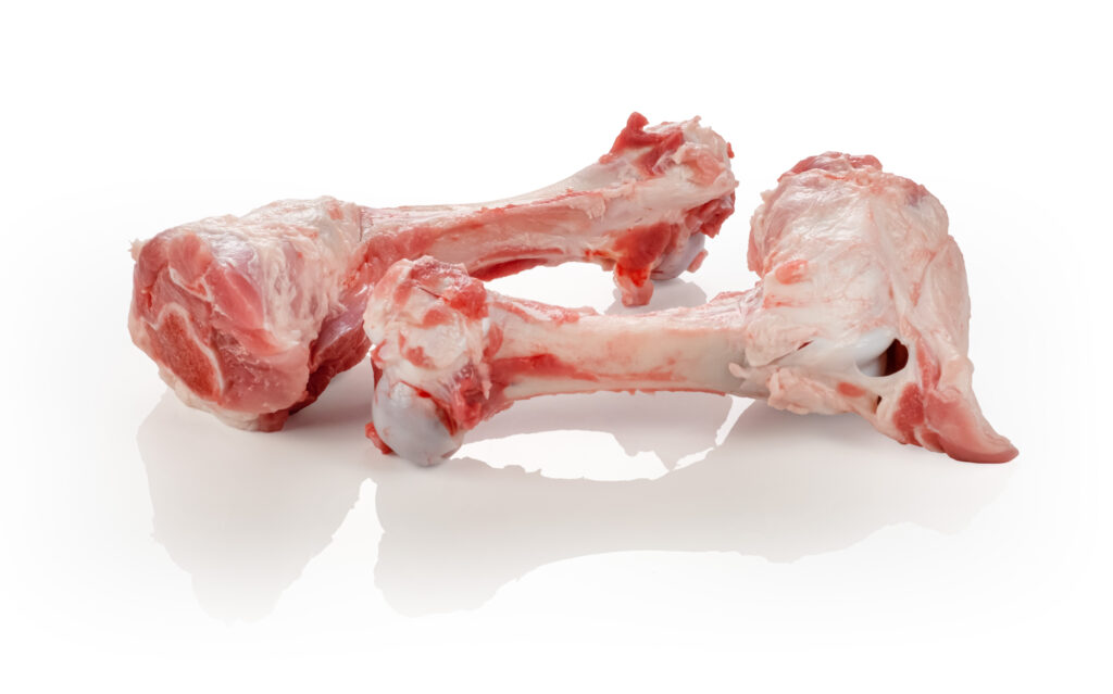 Os Femur.jpg