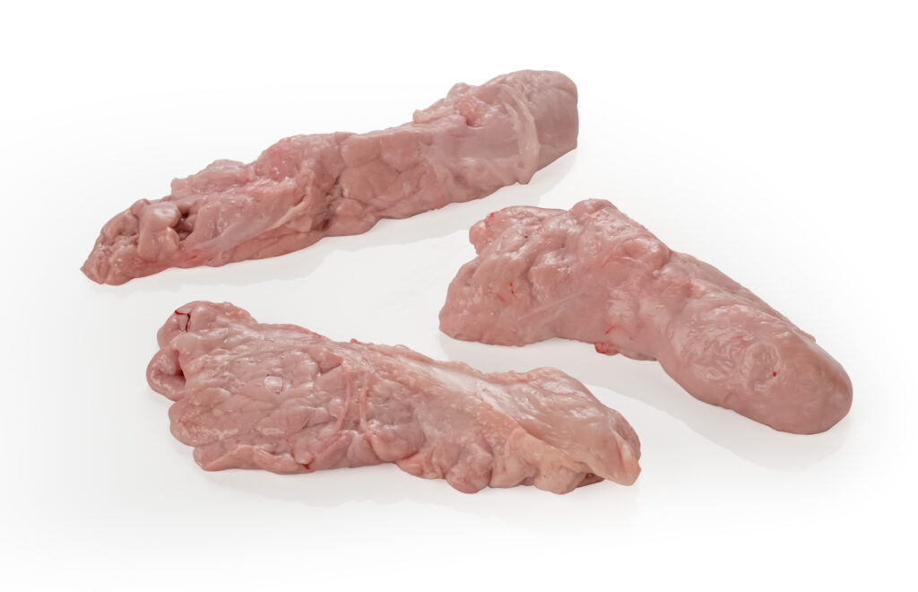 Pancreas.jpg