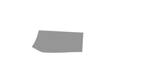 Panceta L