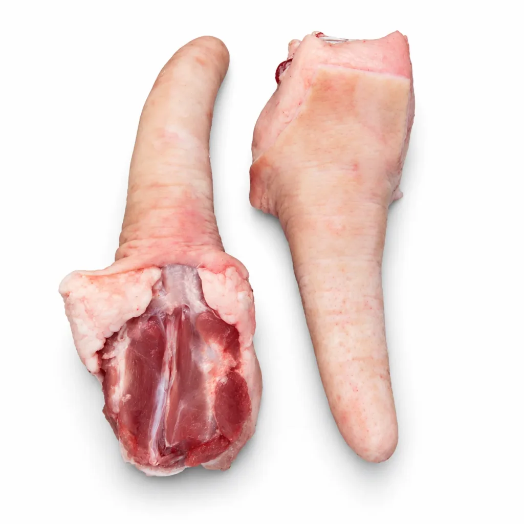 Rabos Cortos